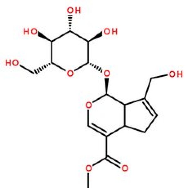 栀子苷,24512-63-8