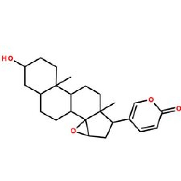 酯蟾毒配基,465-39-4