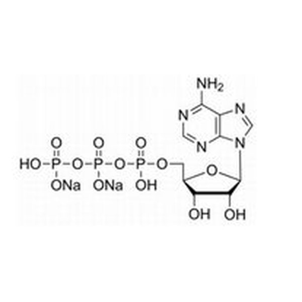 5-腺苷三磷酸二钠盐，987-65-5