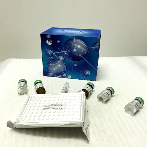 GPA33	人细胞表面抗原A33(Cell surface A33 antigen)ELISA Kit