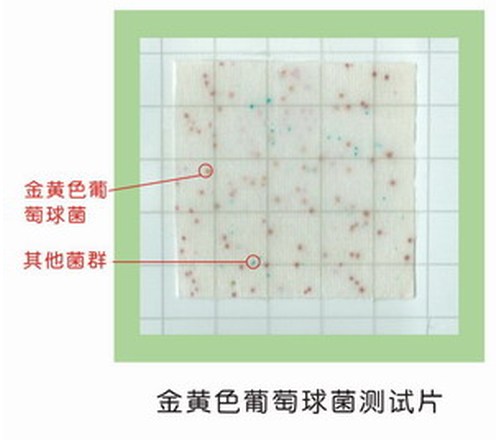 金黄色葡萄球菌测试片