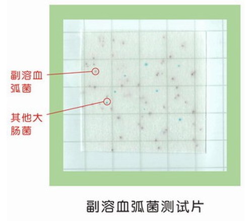 副溶血弧菌测试片