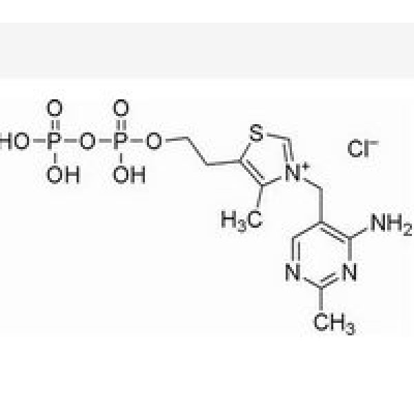 辅羧酶,154-87-0