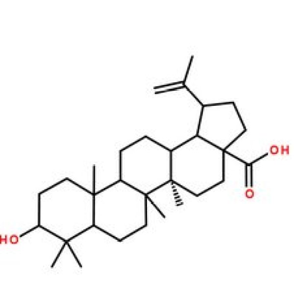 白桦脂酸,78824-30-3