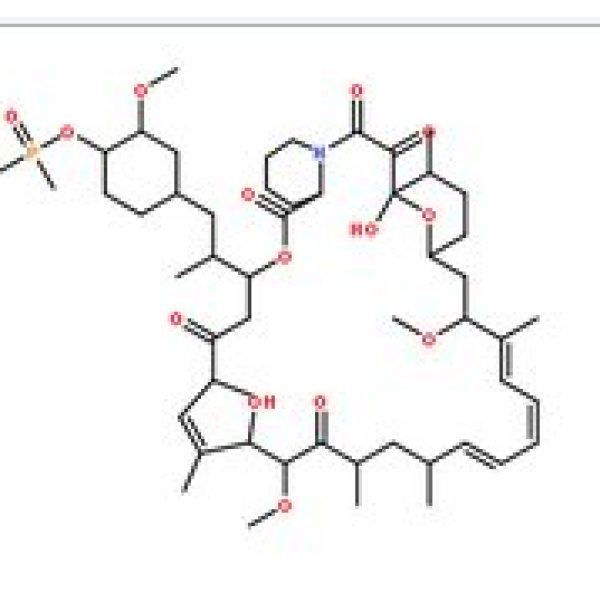  42-(二甲基亚膦酰)雷帕霉素,572924-54-0
