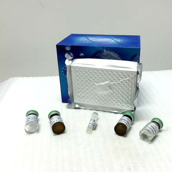 HPRT1	人次黄嘌呤磷酸核糖基转移酶1(HPRT1)ELISA Kit 