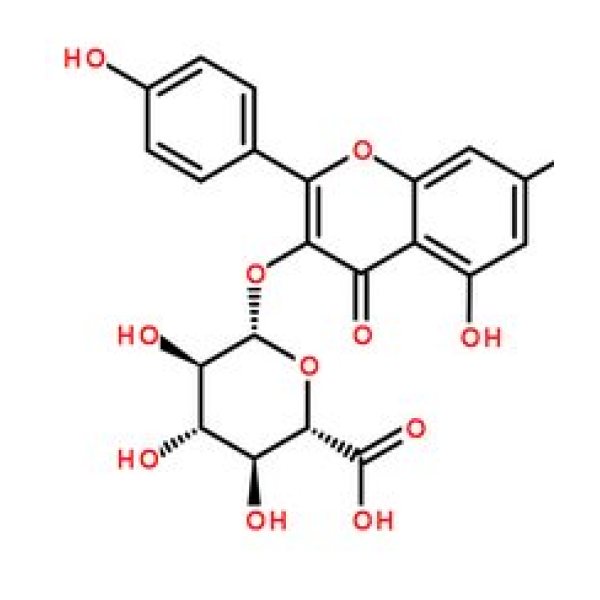 山柰酚葡萄糖醛酸苷,22688-78-4