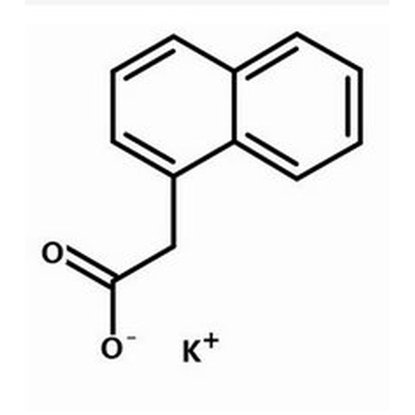 α-萘乙酸钾,15165-79-4