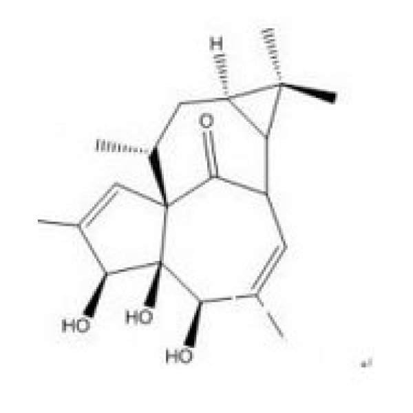 20-去氧巨大戟醇，54706-99-9