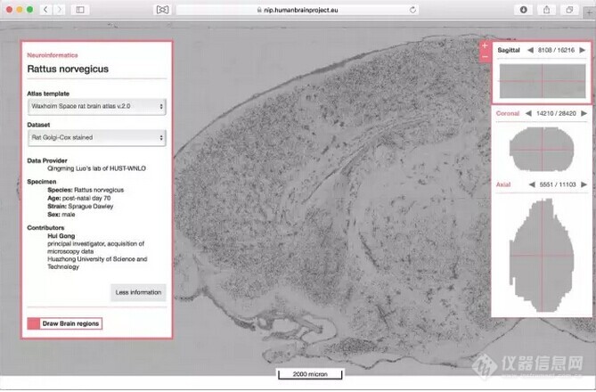 骆清铭团队获取大鼠全脑高分辨数据集在欧盟脑计划平台发布