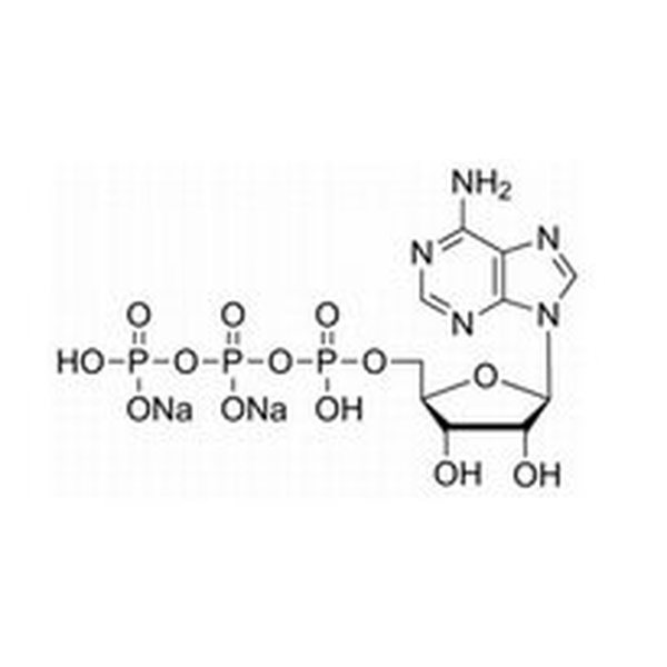 5-腺苷三磷酸二钠盐,987-65-5