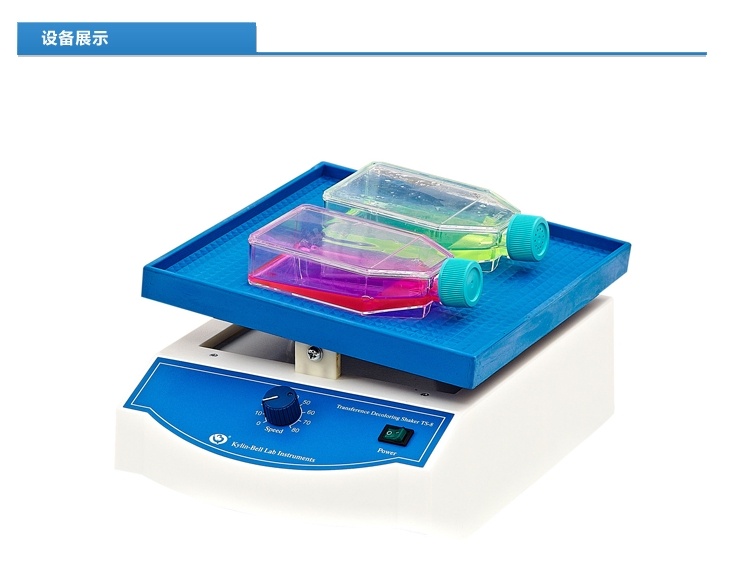 转移脱色摇床TS-8型（升级版）