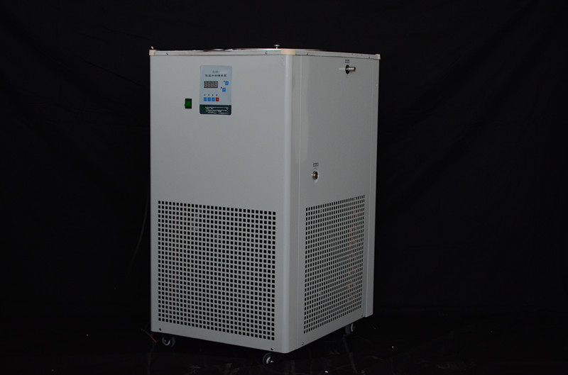DLSB-5L/80-低温冷却液循环泵