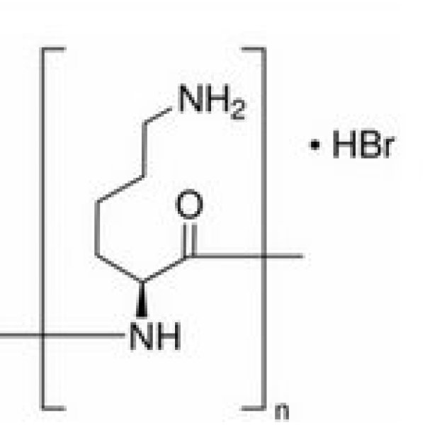 多聚左旋赖氨酸,25988-63-0