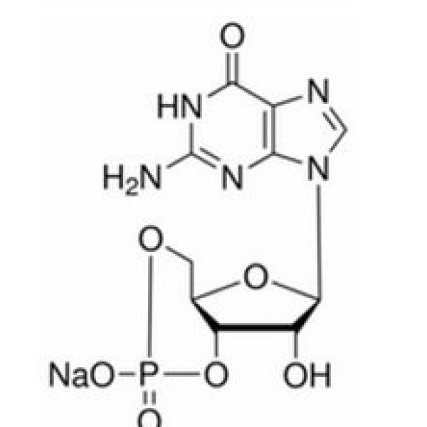 鸟苷-3'，5'-环磷酸钠盐，40732-48-7
