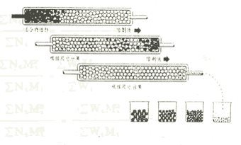 同步净化系统FMS-PowerPrep GPC/parallel