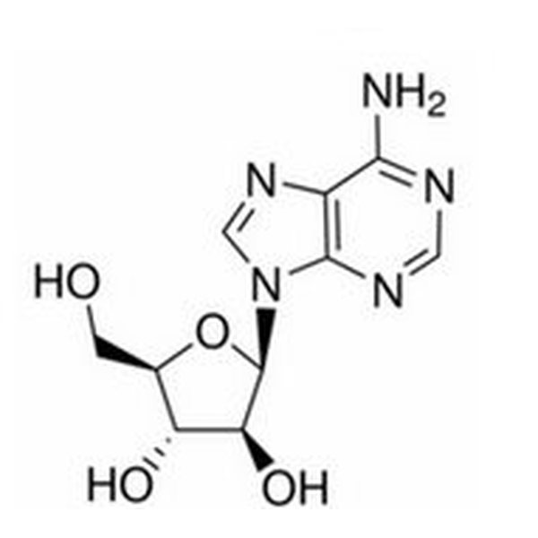 阿糖腺苷,5536-17-4