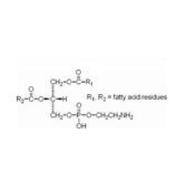 磷脂酰乙醇胺,39382-08-6