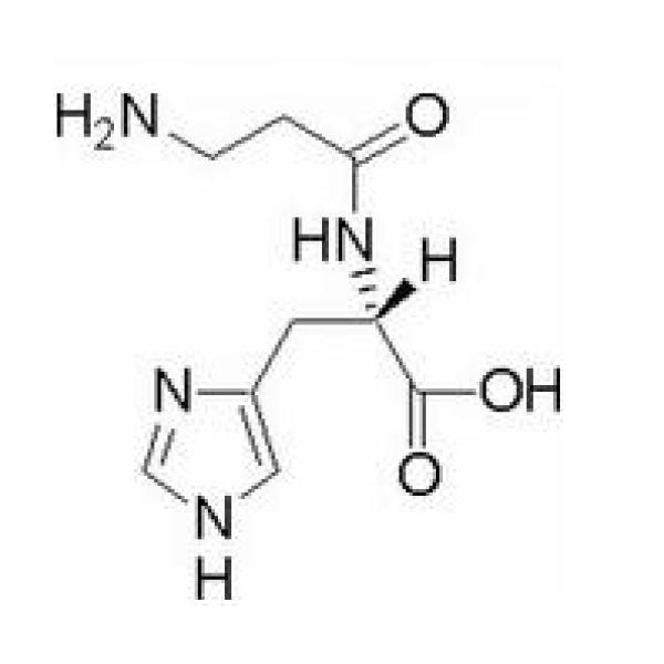 L-肌肽,305-84-0