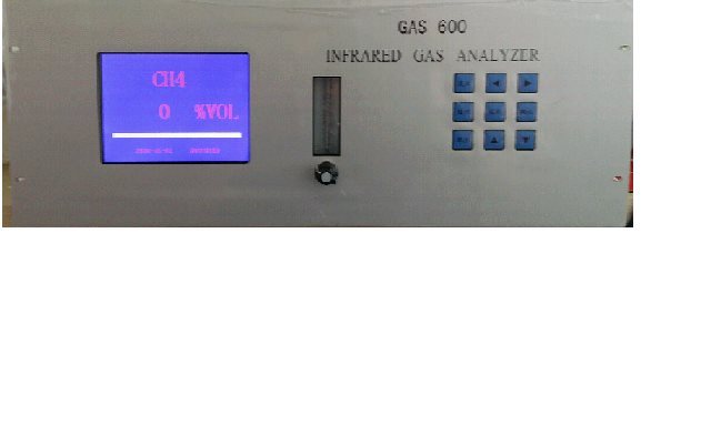 GAS400在线沼气分析仪