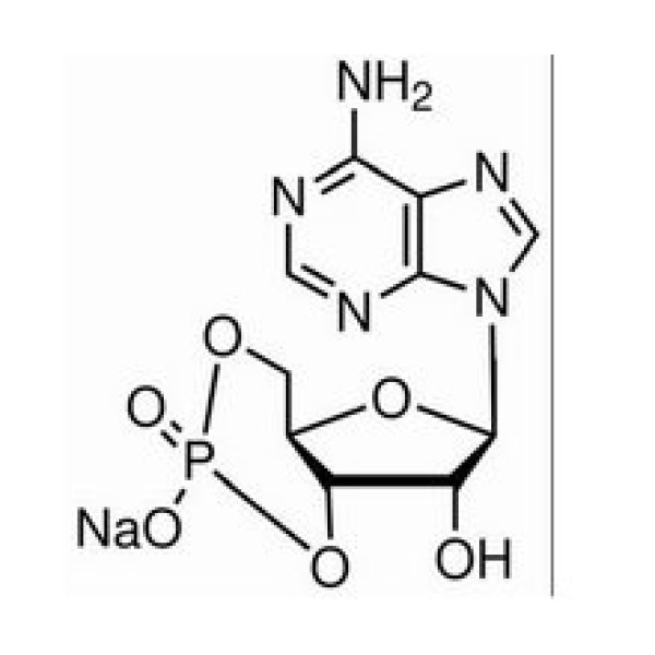 环磷酸腺苷钠盐,37839-81-9