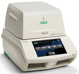 bio-rad CFX96 Touch荧光定量PCR 