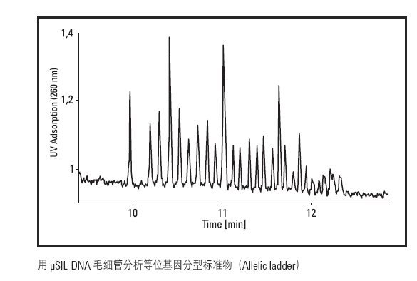 散装&#181SIL-DB毛细管126-1012