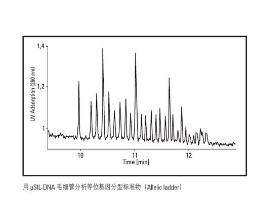 散装&#181SIL-DB毛细管126-1012