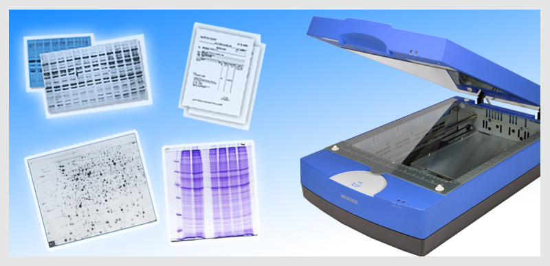 Microtek 中晶蛋白电泳扫描仪（定量）