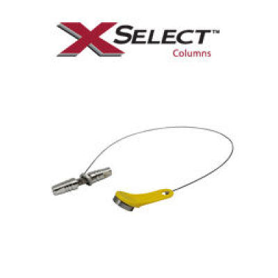 XSelect CSH XP 2.5 &#956;m 色谱柱