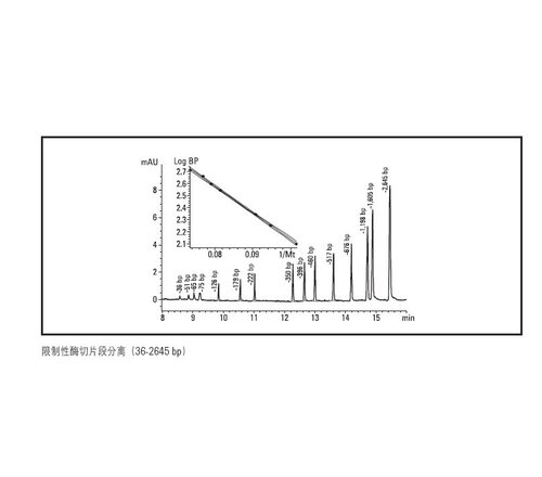 CEP 涂层毛细管G1600-62318