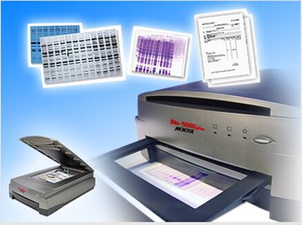 Microtek 蛋白电泳扫描仪（定量）