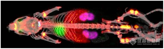 小动物活体成像系统 SPECT/PET/CT-托摩根生物科技有限公司