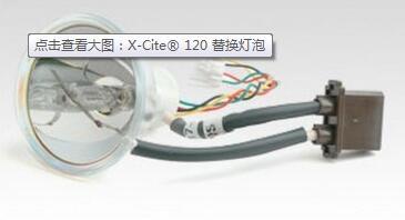 X-Cite® 120灯泡