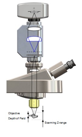 Phaseview3D显微成像系统 Insight