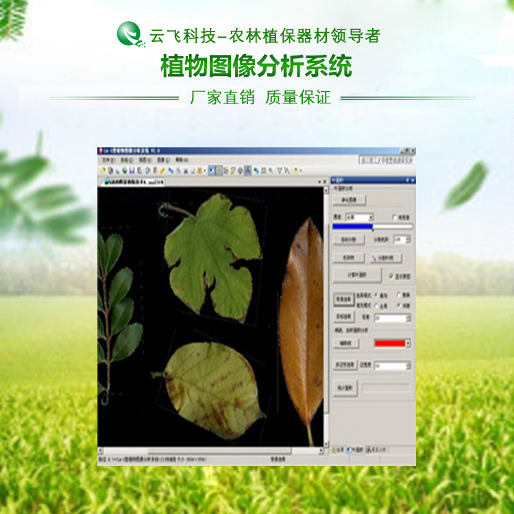 云飞YF-ZS-TX植物图像分析系统