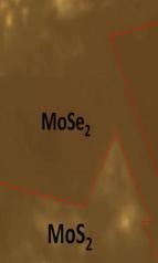 MoS?MoSe?横型异质