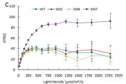 双通道叶绿素荧光仪Dual-PAM-100P700参数