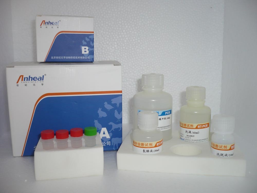 人HBV preS2Ag试剂盒