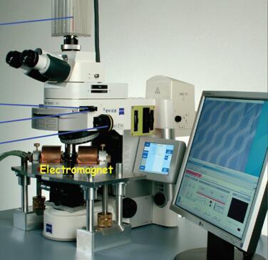 蔡司克尔磁光显微镜