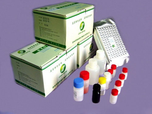 大鼠VEGF-C检测试剂盒