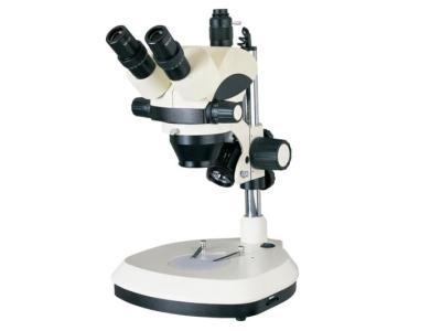 体视显微镜KOSTER SMC 600 