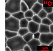 CAMECA 纳米离子探针质谱仪NanoSIMS 50L