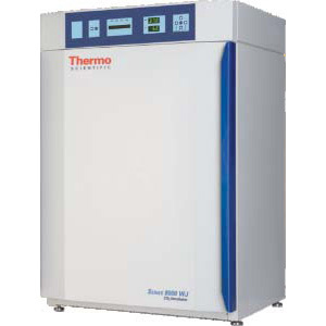 Thermo Forma 8000 系列直热式CO2培养箱