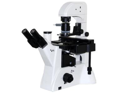 微分干涉相差倒置显微镜