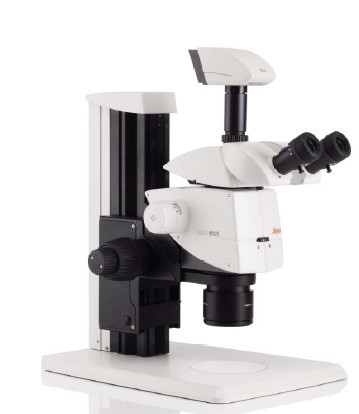 徕卡大视野立体显微镜 Leica M125