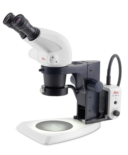 德国徕卡 体视显微镜 S4E