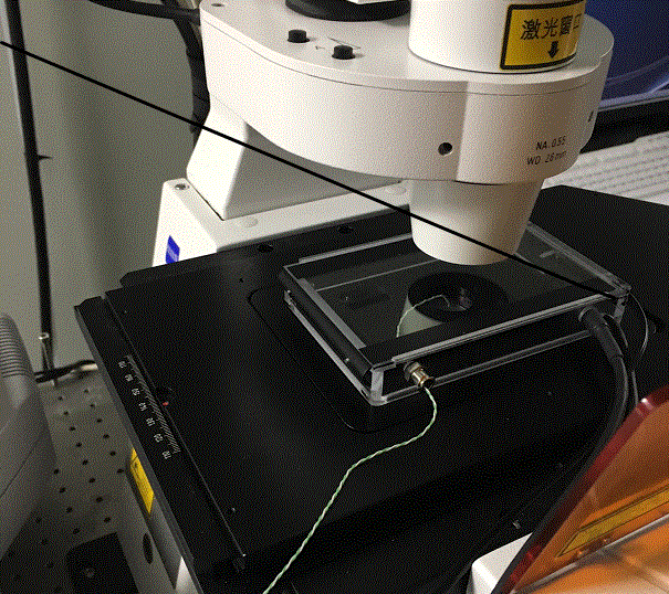 KOSTER显微镜样品框/显微镜样品夹