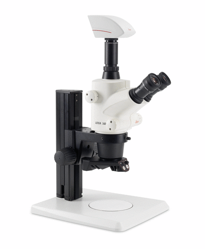 德国徕卡 体视显微镜 S6D