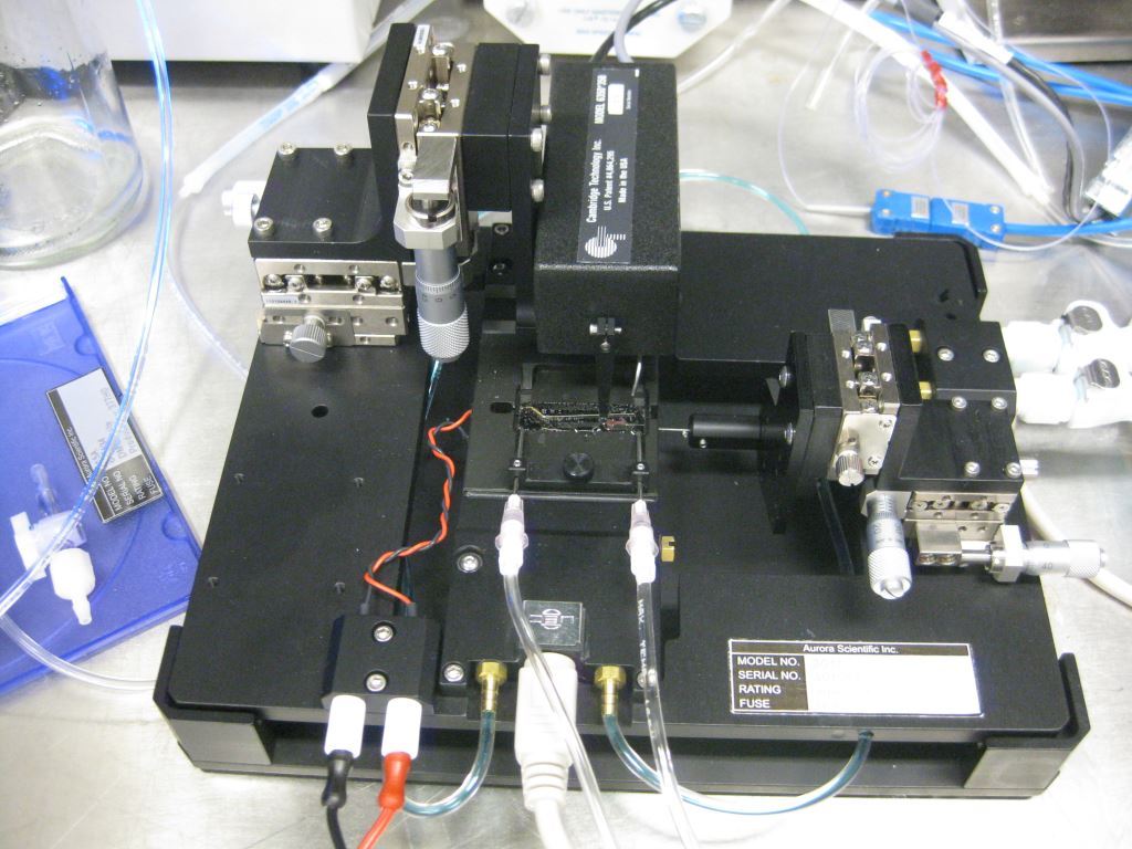 加拿大Aurora细小组织力学性能测试系统